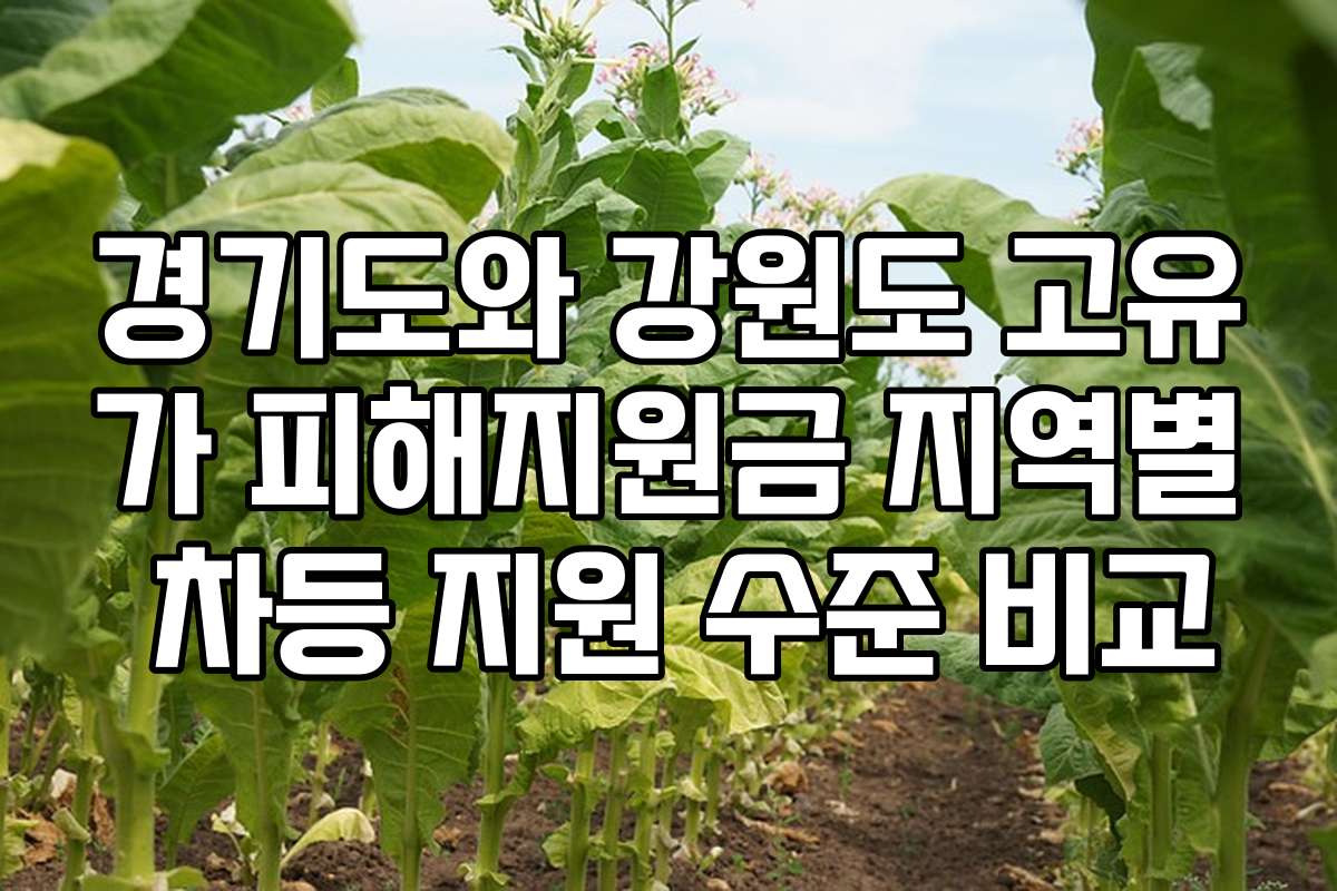 경기도와 강원도 고유가 피해지원금 지역별 차등 지원 수준 비교