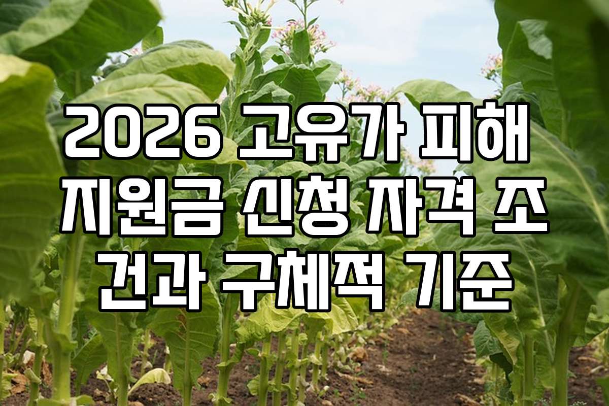2026 고유가 피해 지원금 신청 자격 조건과 구체적 기준