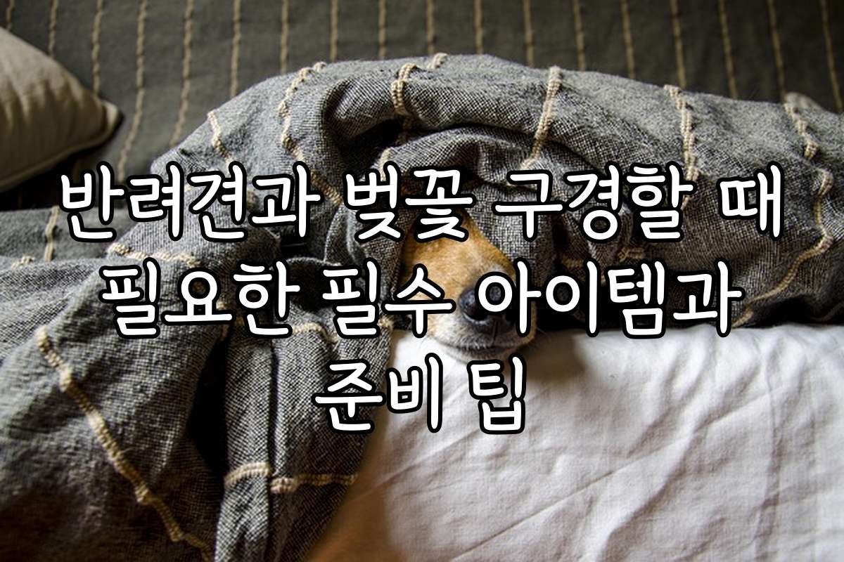 반려견과 벚꽃 구경할 때 필요한 필수 아이템과 준비 팁