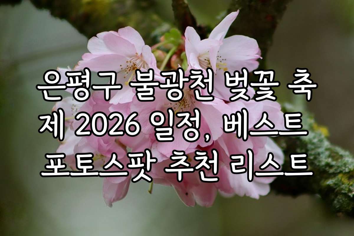 은평구 불광천 벚꽃 축제 2026 일정, 베스트 포토스팟 추천 리스트