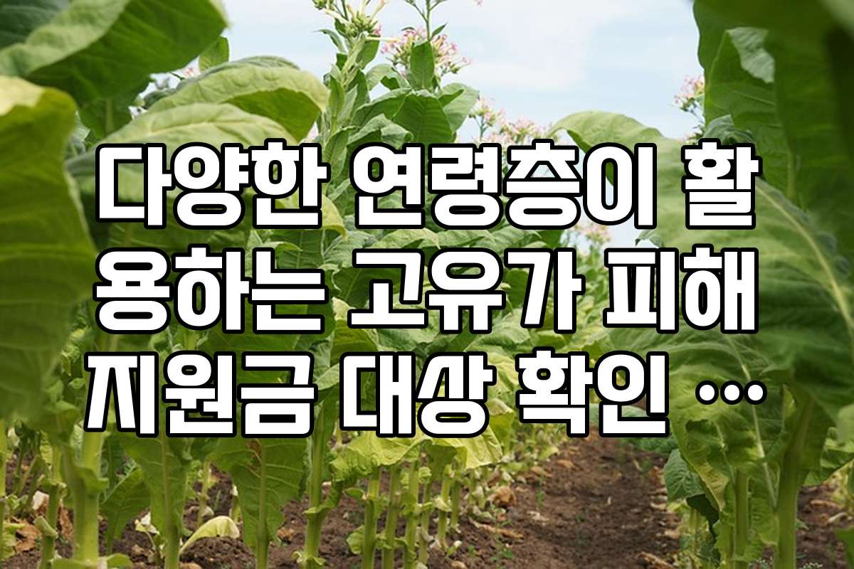 다양한 연령층이 활용하는 고유가 피해지원금 대상 확인 가이드