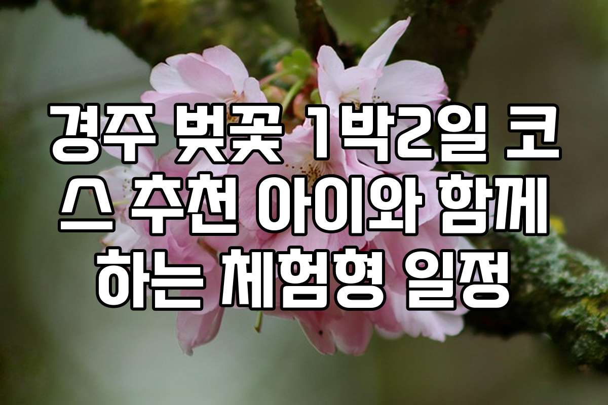 경주 벚꽃 1박2일 코스 추천 아이와 함께하는 체험형 일정
