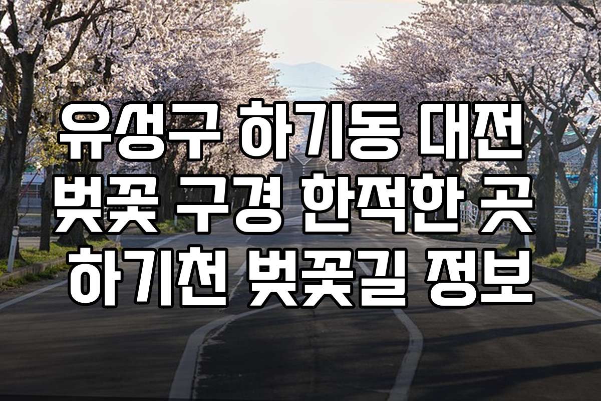 유성구 하기동 대전 벚꽃 구경 한적한 곳 하기천 벚꽃길 정보