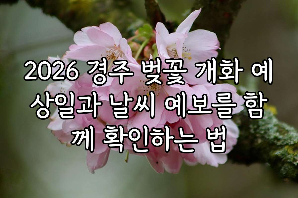 2026 경주 벚꽃 개화 예상일과 날씨 예보를 함께 확인하는 법