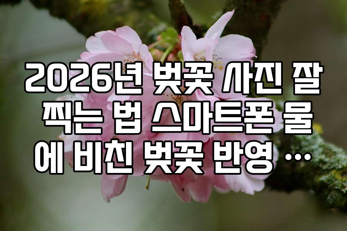 2026년 벚꽃 사진 잘 찍는 법 스마트폰 물에 비친 벚꽃 반영 사진 찍는 법