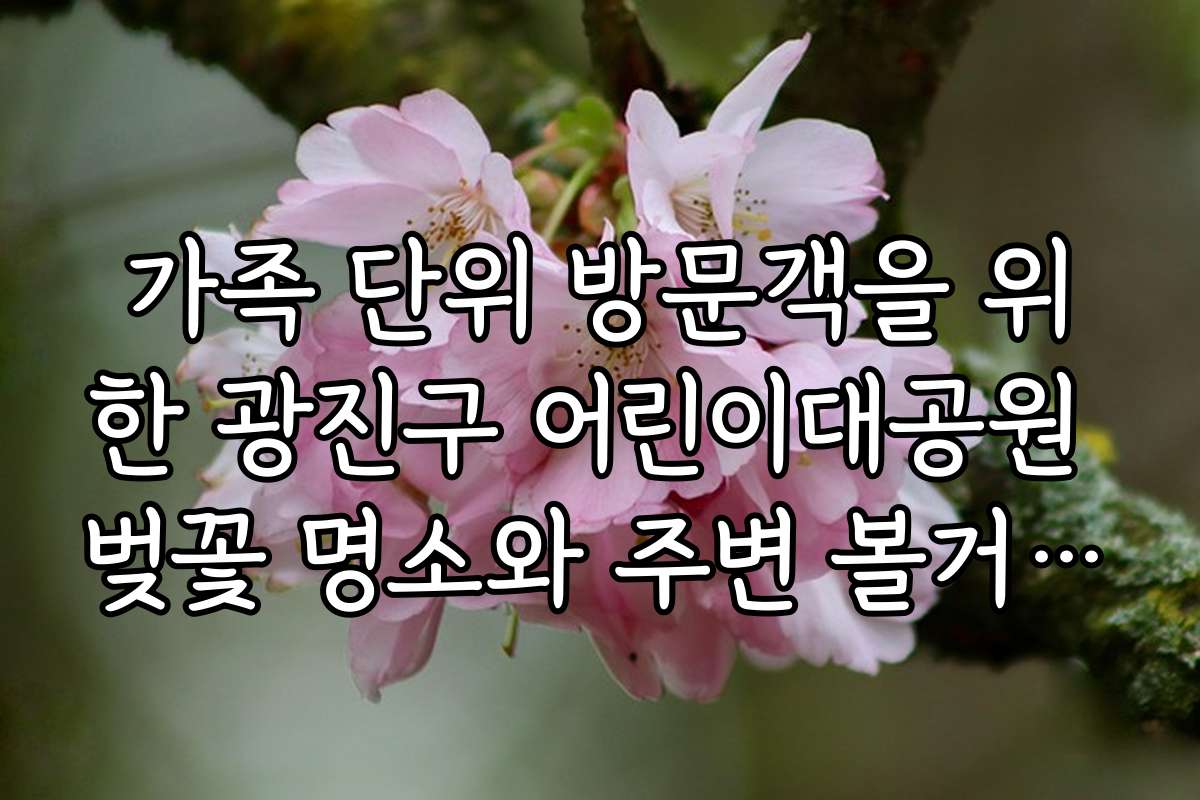 가족 단위 방문객을 위한 광진구 어린이대공원 벚꽃 명소와 주변 볼거리 안내
