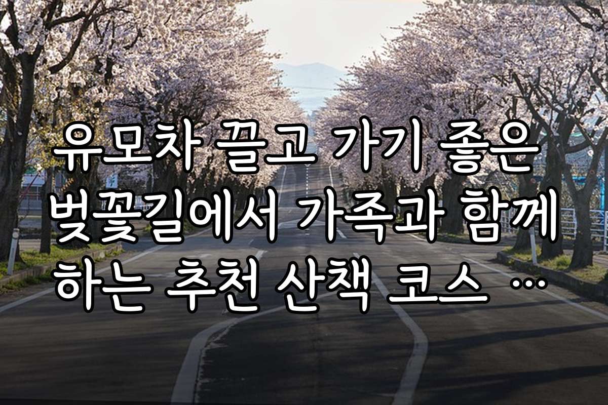 유모차 끌고 가기 좋은 벚꽃길에서 가족과 함께하는 추천 산책 코스 안내