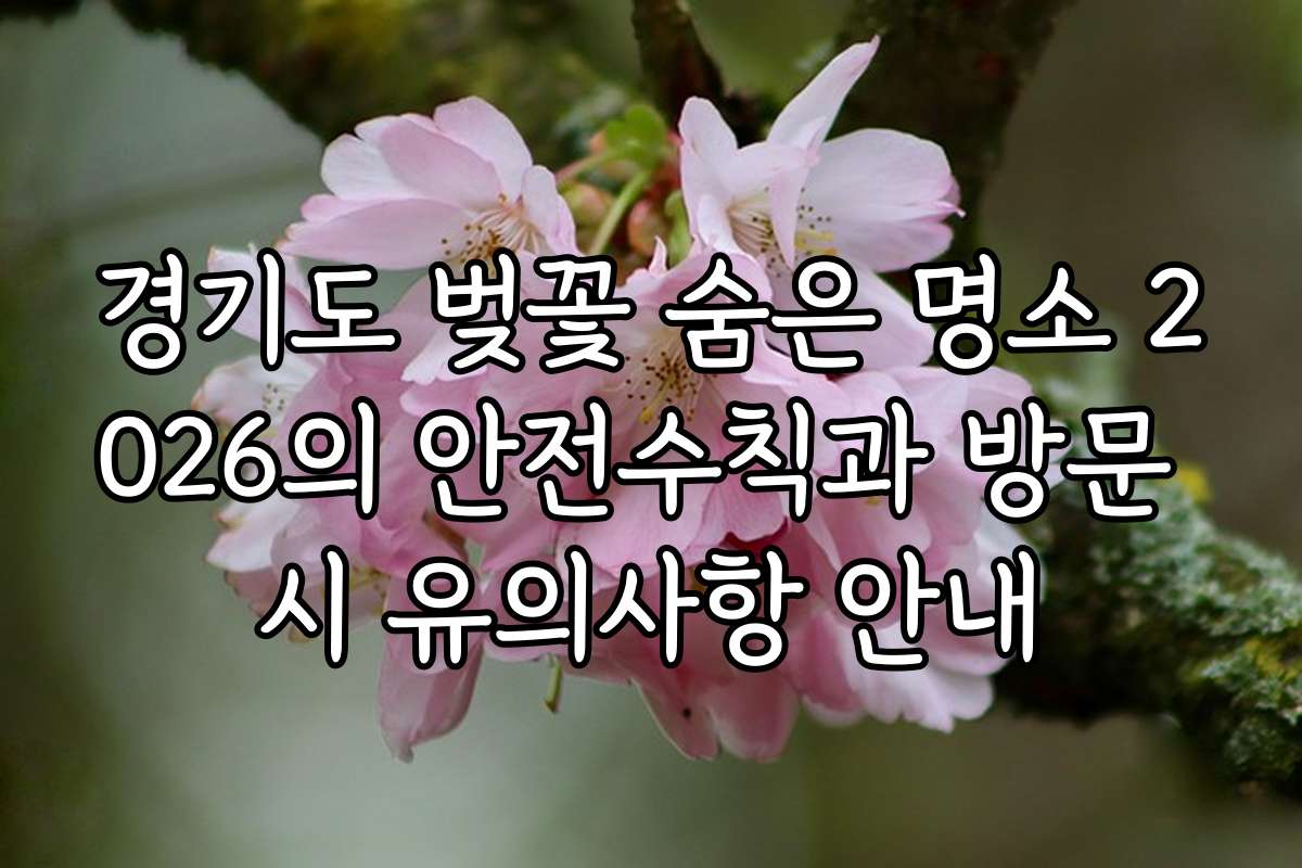 경기도 벚꽃 숨은 명소 2026의 안전수칙과 방문 시 유의사항 안내