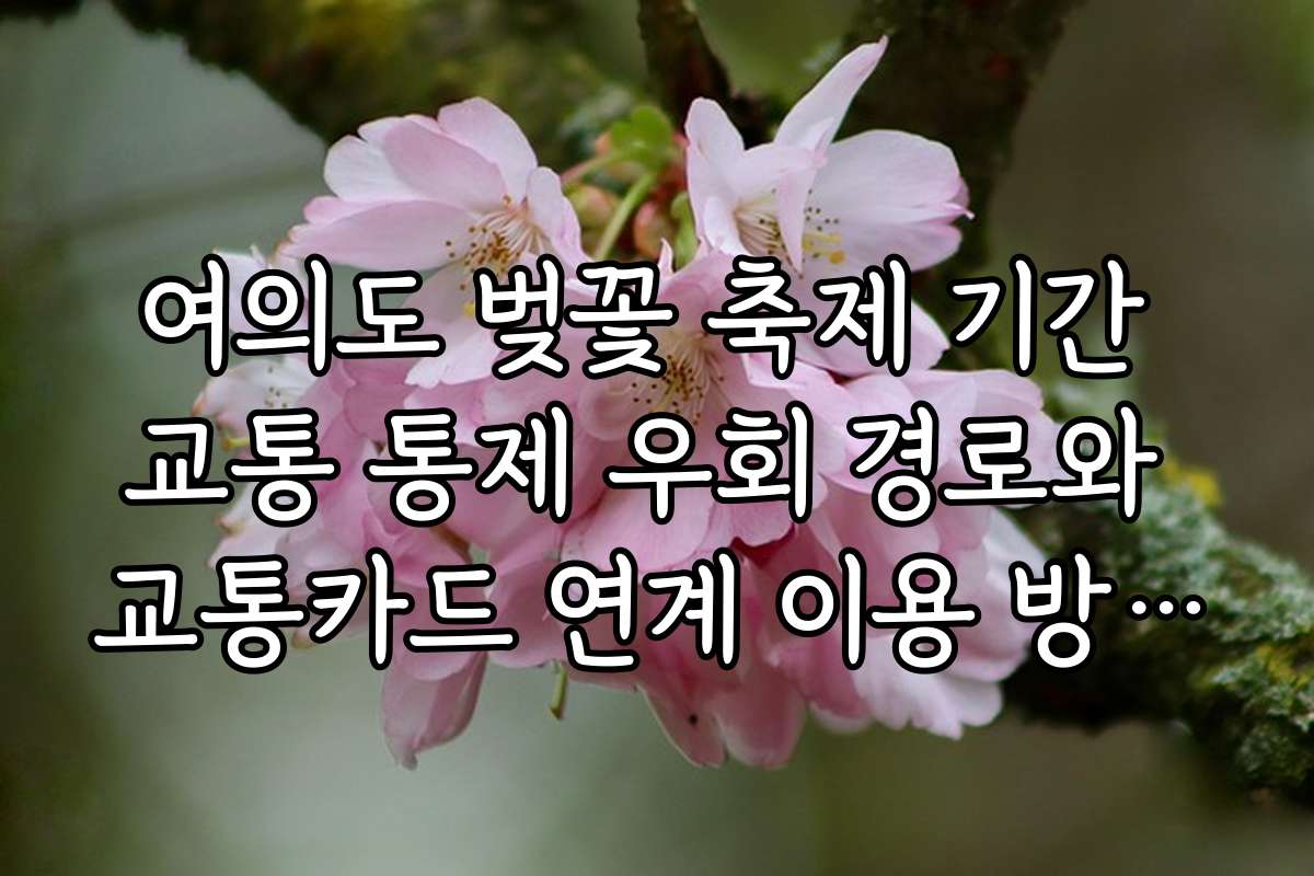 여의도 벚꽃 축제 기간 교통 통제 우회 경로와 교통카드 연계 이용 방법 안내