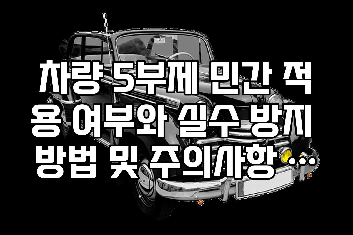 차량 5부제 민간 적용 여부와 실수 방지 방법 및 주의사항 안내