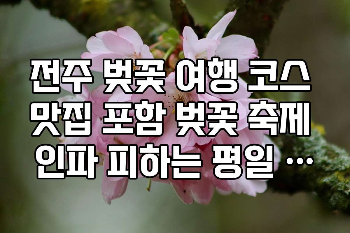 전주 벚꽃 여행 코스 맛집 포함 벚꽃 축제 인파 피하는 평일 방문 시간