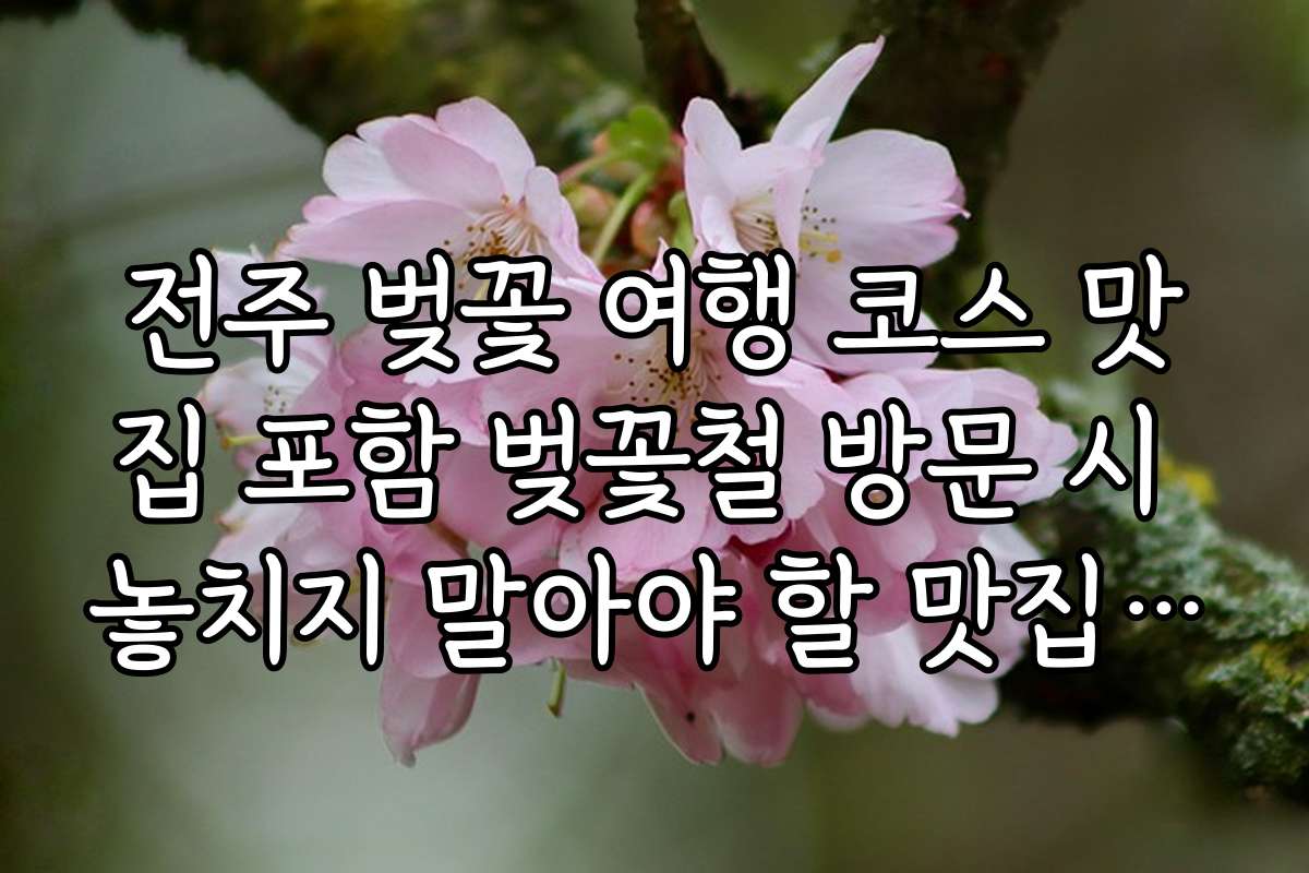 전주 벚꽃 여행 코스 맛집 포함 벚꽃철 방문 시 놓치지 말아야 할 맛집 리스트