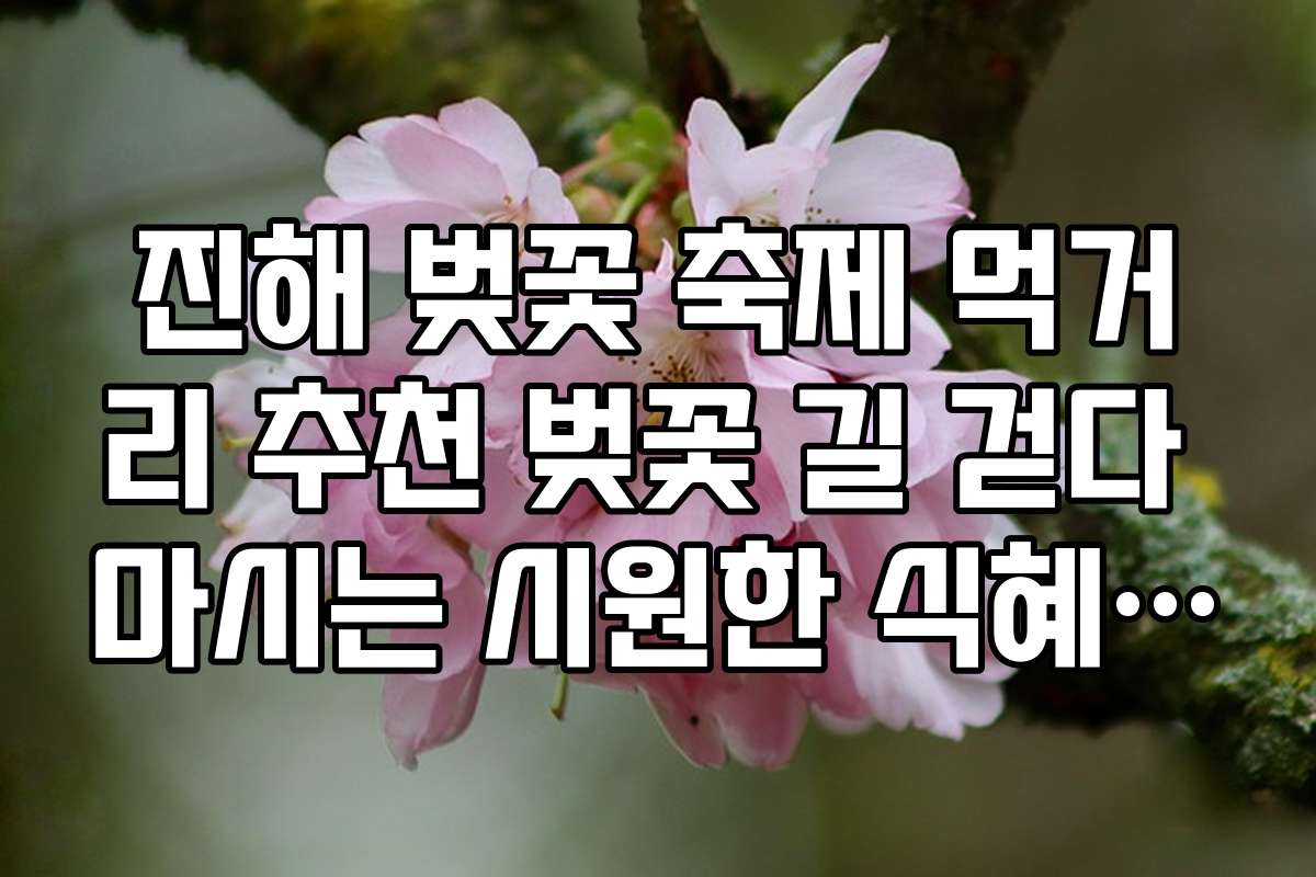 진해 벚꽃 축제 먹거리 추천 벚꽃 길 걷다 마시는 시원한 식혜 위치