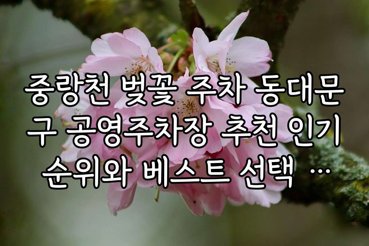 중랑천 벚꽃 주차 동대문구 공영주차장 추천 인기 순위와 베스트 선택 기준