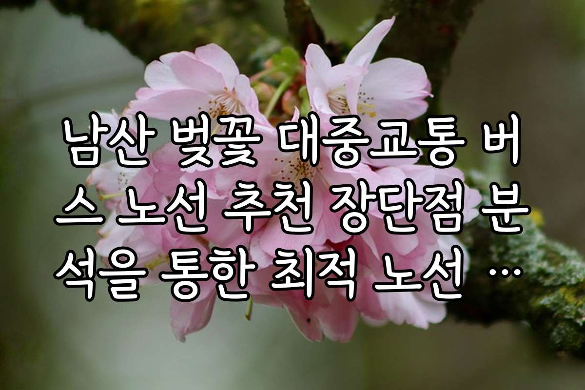 남산 벚꽃 대중교통 버스 노선 추천 장단점 분석을 통한 최적 노선 선택법