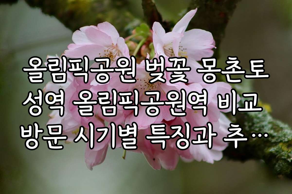올림픽공원 벚꽃 몽촌토성역 올림픽공원역 비교 방문 시기별 특징과 추천 시기