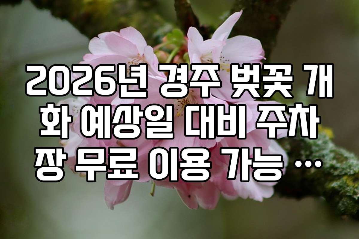 2026년 경주 벚꽃 개화 예상일 대비 주차장 무료 이용 가능 구역