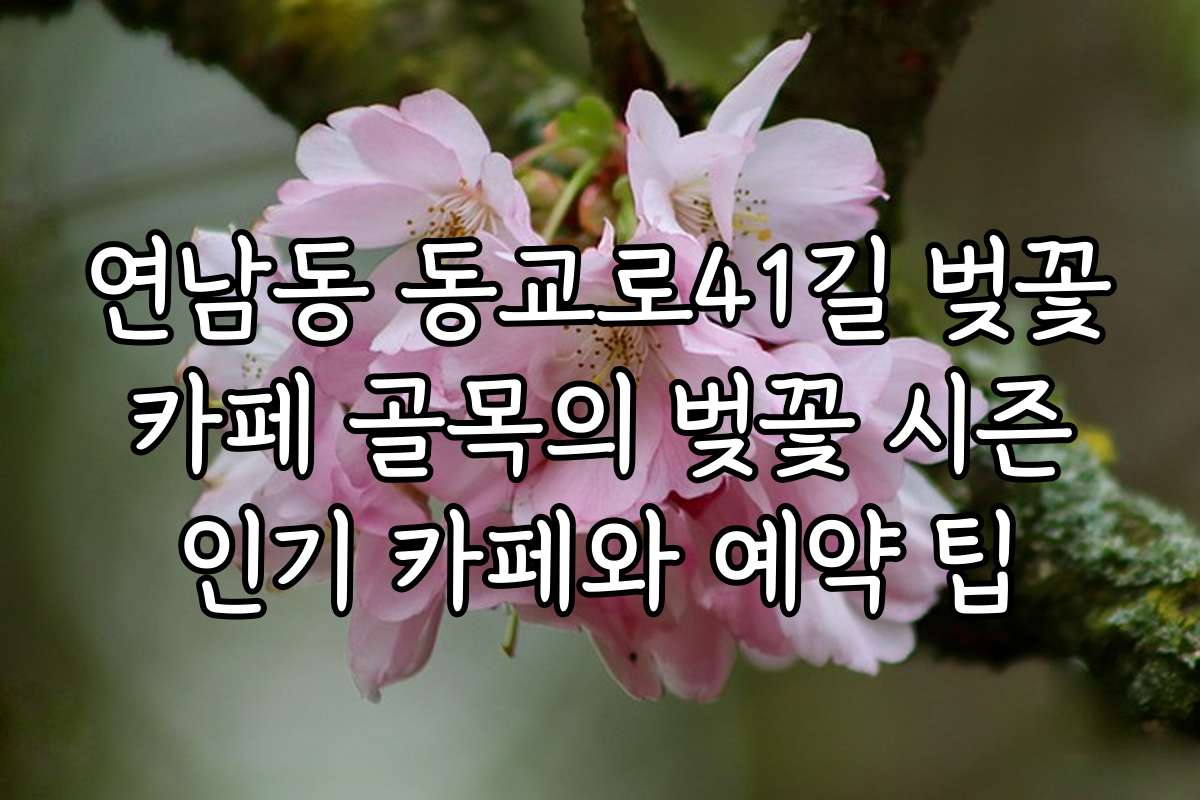 연남동 동교로41길 벚꽃 카페 골목의 벚꽃 시즌 인기 카페와 예약 팁