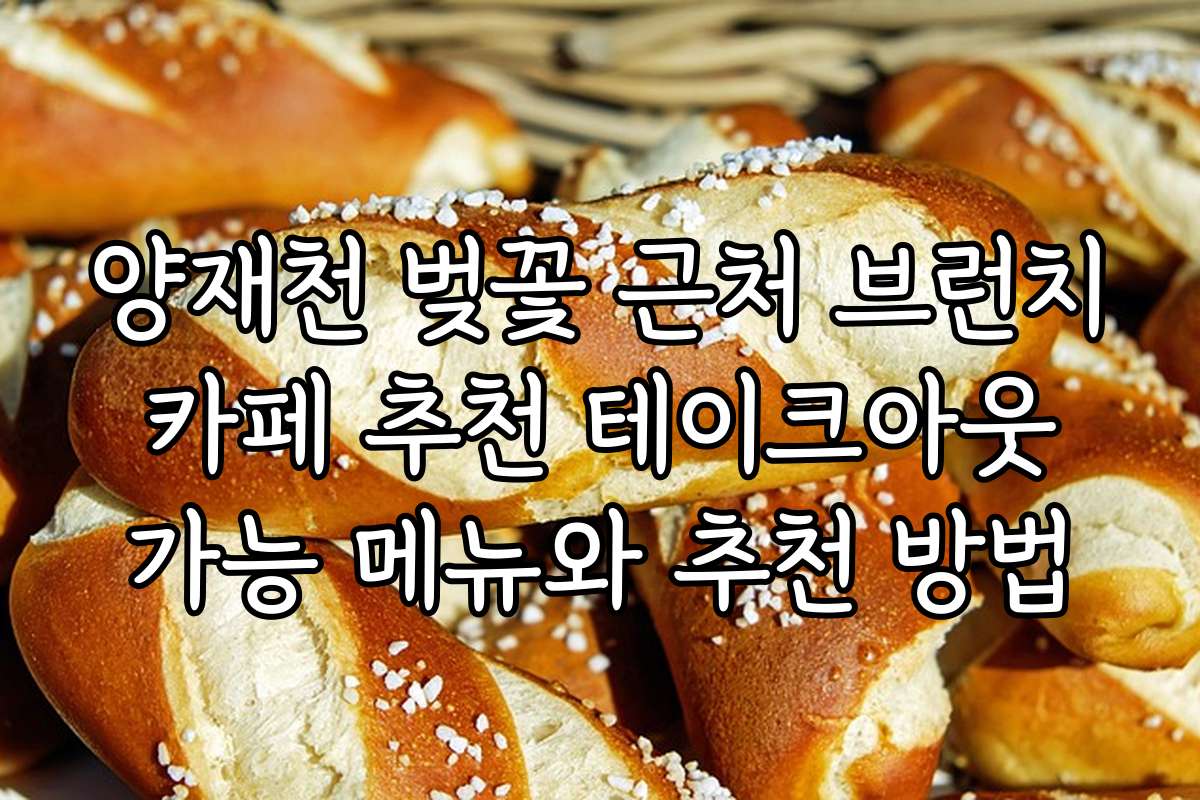 양재천 벚꽃 근처 브런치 카페 추천 테이크아웃 가능 메뉴와 추천 방법