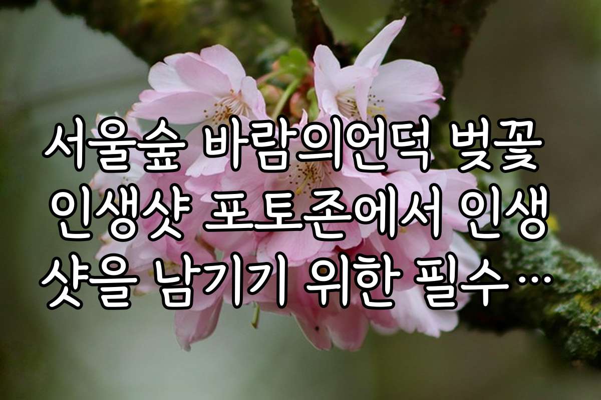 서울숲 바람의언덕 벚꽃 인생샷 포토존에서 인생샷을 남기기 위한 필수 장비와 액세서리 추천