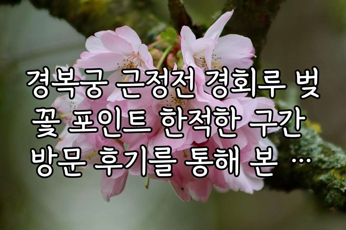 경복궁 근정전 경회루 벚꽃 포인트 한적한 구간 방문 후기를 통해 본 추천 일정