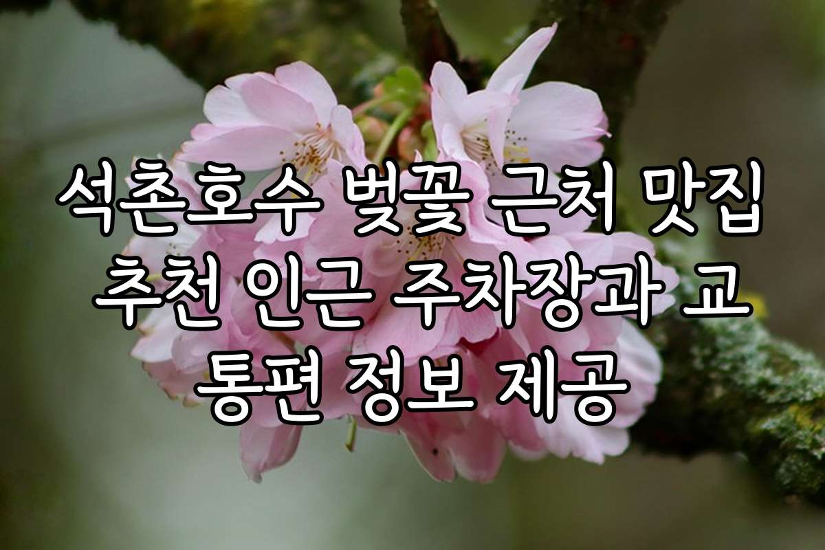 석촌호수 벚꽃 근처 맛집 추천 인근 주차장과 교통편 정보 제공