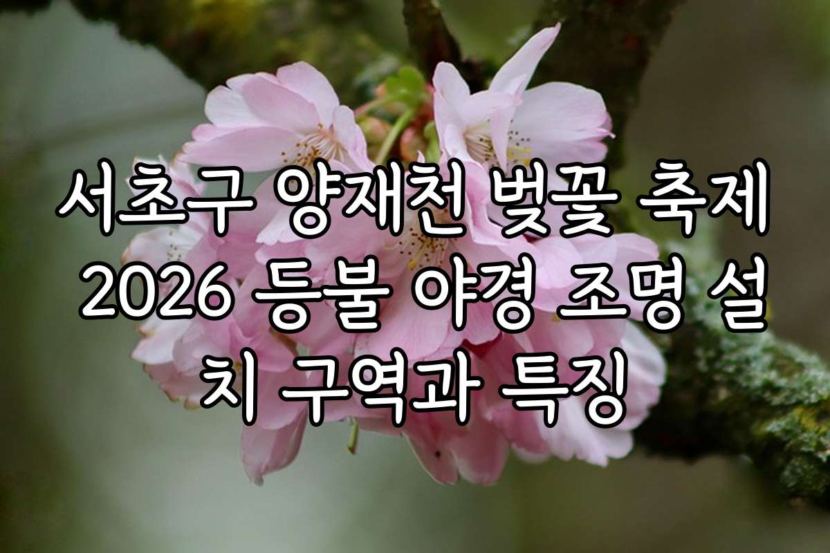 서초구 양재천 벚꽃 축제 2026 등불 야경 조명 설치 구역과 특징