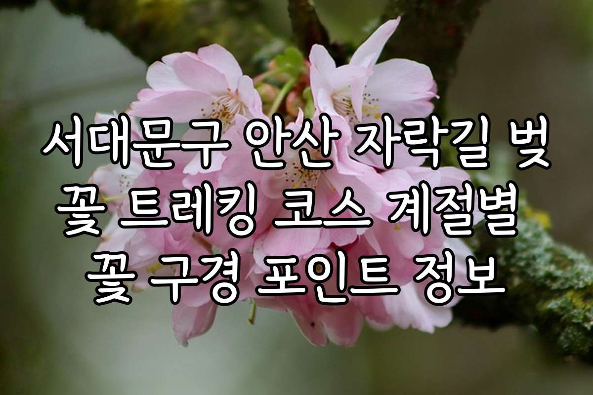 서대문구 안산 자락길 벚꽃 트레킹 코스 계절별 꽃 구경 포인트 정보