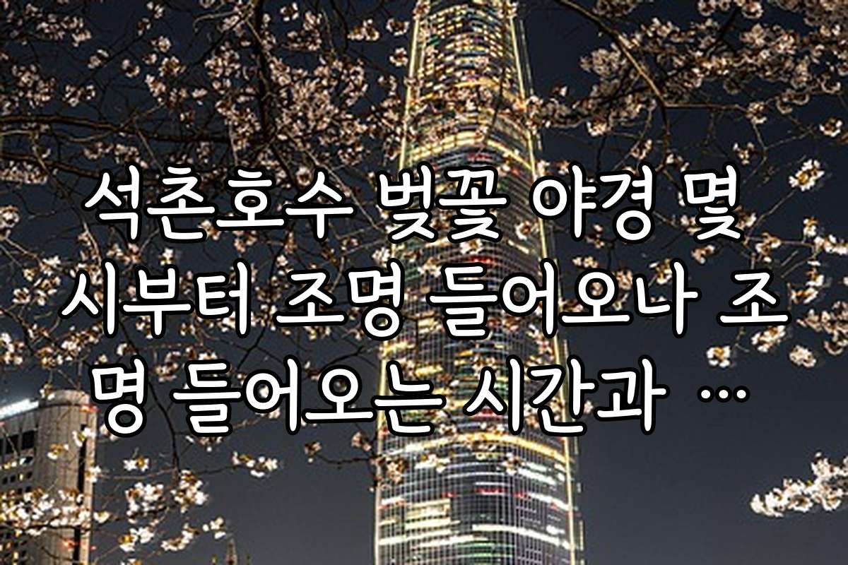 석촌호수 벚꽃 야경 몇 시부터 조명 들어오나 조명 들어오는 시간과 함께하는 낮과 밤 방문 비교