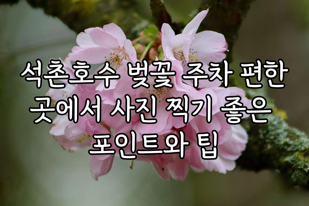 석촌호수 벚꽃 주차 편한곳에서 사진 찍기 좋은 포인트와 팁