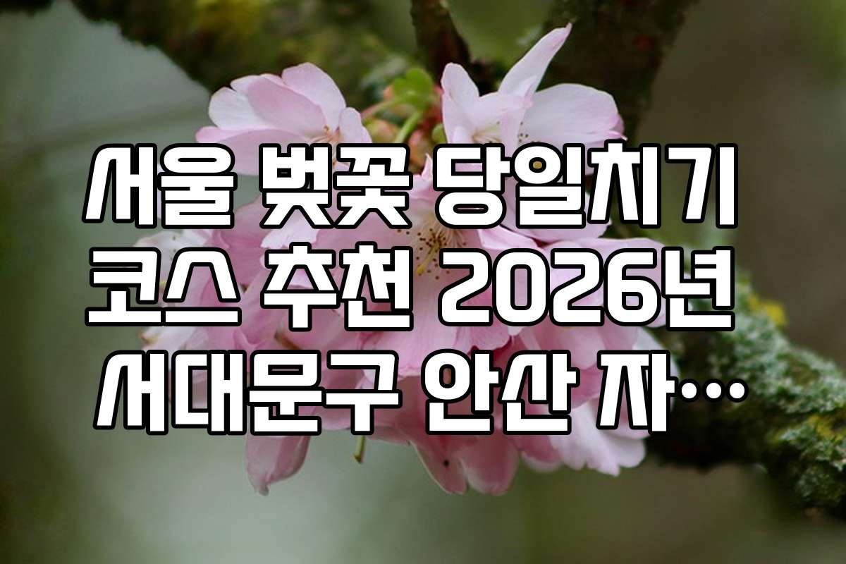 서울 벚꽃 당일치기 코스 추천 2026년 서대문구 안산 자락길 휠체어 코스