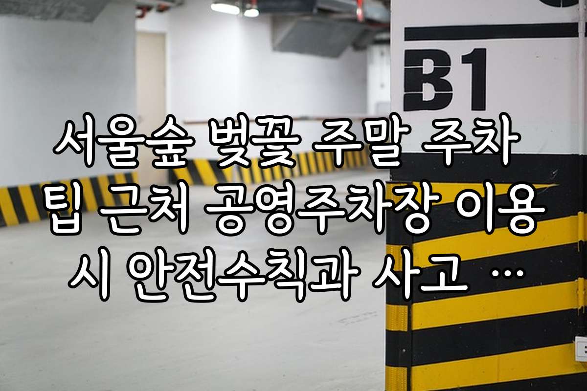 서울숲 벚꽃 주말 주차 팁 근처 공영주차장 이용 시 안전수칙과 사고 예방법