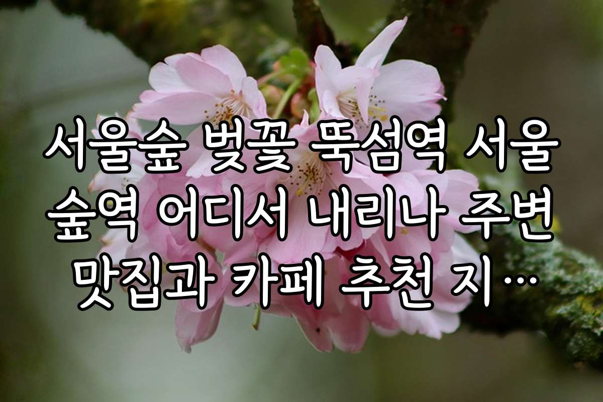 서울숲 벚꽃 뚝섬역 서울숲역 어디서 내리나 주변 맛집과 카페 추천 지도와 후기