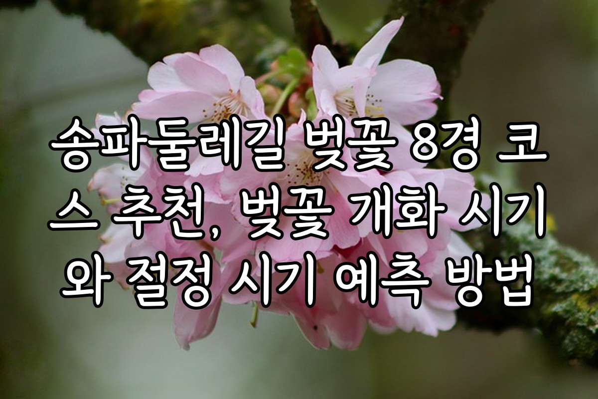 송파둘레길 벚꽃 8경 코스 추천, 벚꽃 개화 시기와 절정 시기 예측 방법