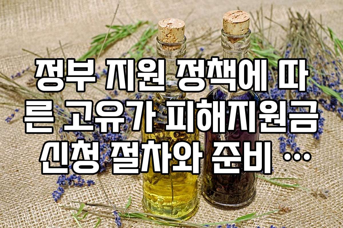 정부 지원 정책에 따른 고유가 피해지원금 신청 절차와 준비 방법을 단계별로 설명