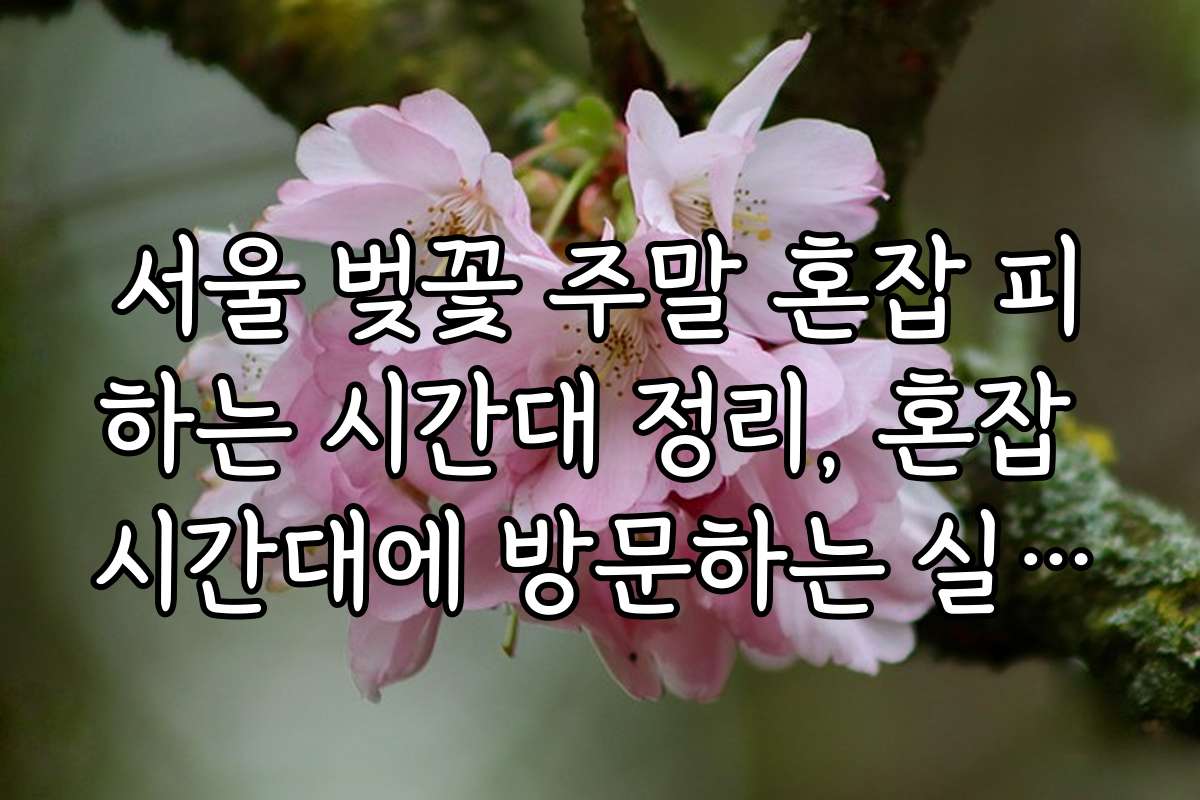 서울 벚꽃 주말 혼잡 피하는 시간대 정리, 혼잡 시간대에 방문하는 실수와 주의사항