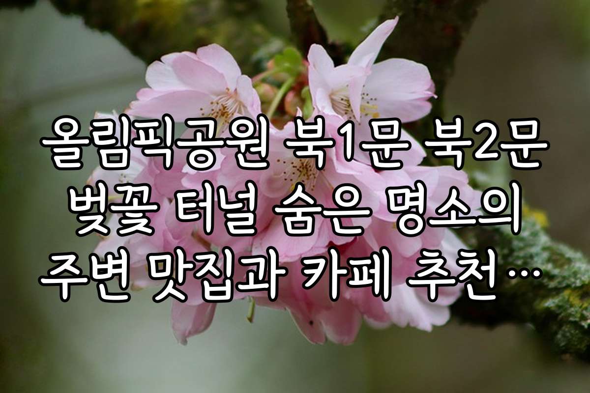 올림픽공원 북1문 북2문 벚꽃 터널 숨은 명소의 주변 맛집과 카페 추천 정보도 함께 알려드려요