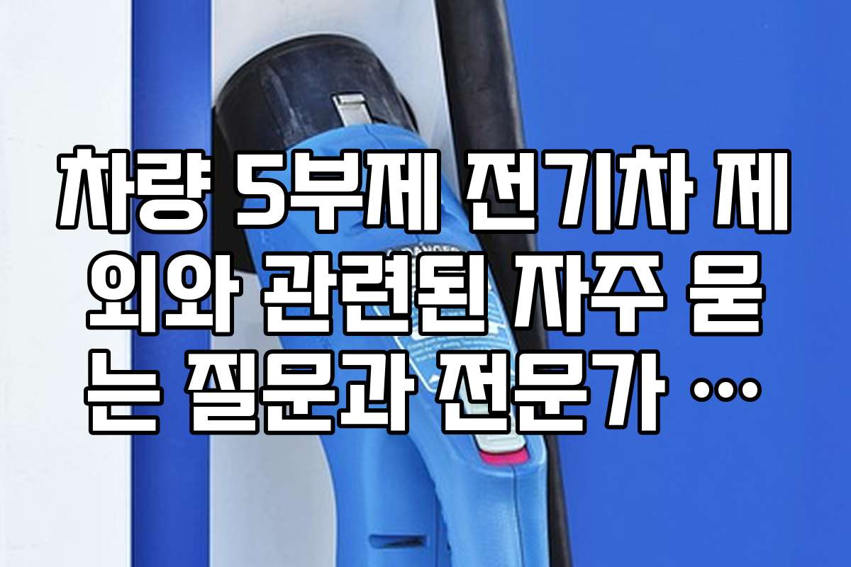 차량 5부제 전기차 제외와 관련된 자주 묻는 질문과 전문가 답변을 정리했습니다