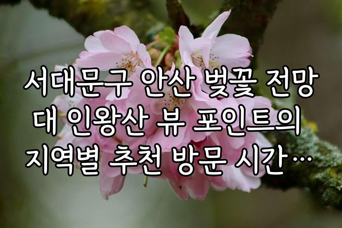 서대문구 안산 벚꽃 전망대 인왕산 뷰 포인트의 지역별 추천 방문 시간대와 최적 시기를 알려드립니다