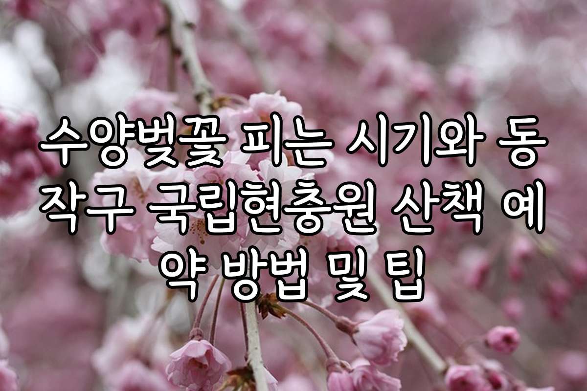 수양벚꽃 피는 시기와 동작구 국립현충원 산책 예약 방법 및 팁