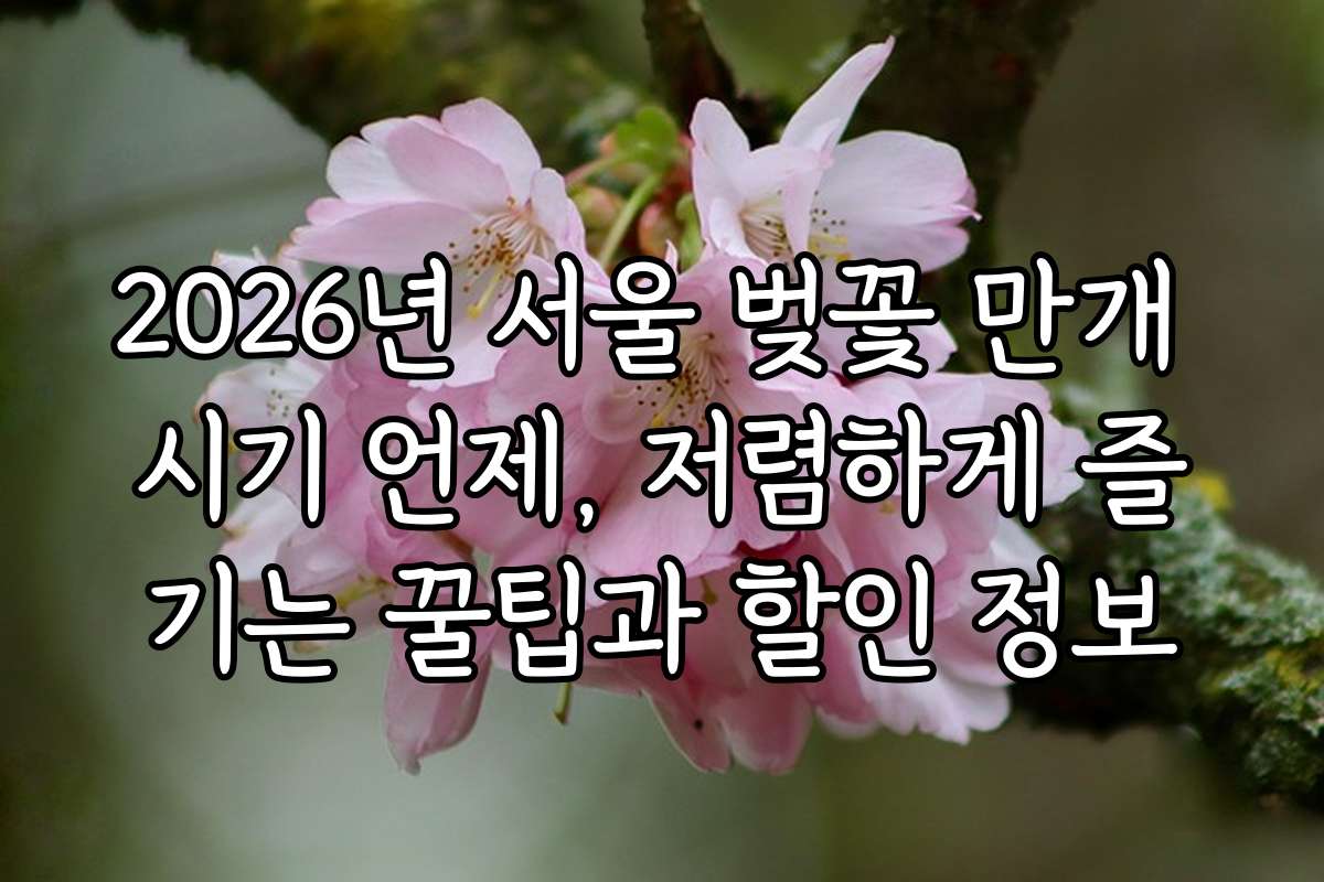 2026년 서울 벚꽃 만개 시기 언제, 저렴하게 즐기는 꿀팁과 할인 정보