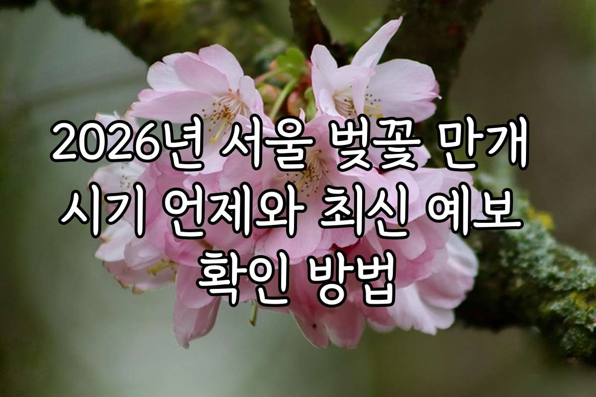 2026년 서울 벚꽃 만개 시기 언제와 최신 예보 확인 방법