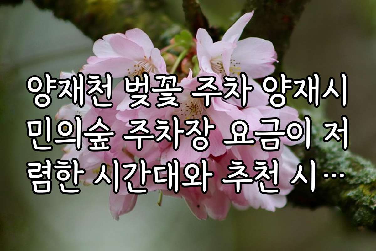 양재천 벚꽃 주차 양재시민의숲 주차장 요금이 저렴한 시간대와 추천 시간대 안내