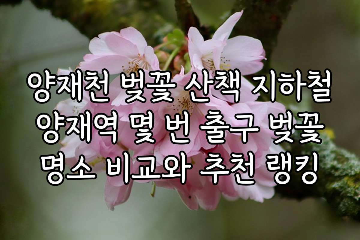 양재천 벚꽃 산책 지하철 양재역 몇 번 출구 벚꽃 명소 비교와 추천 랭킹