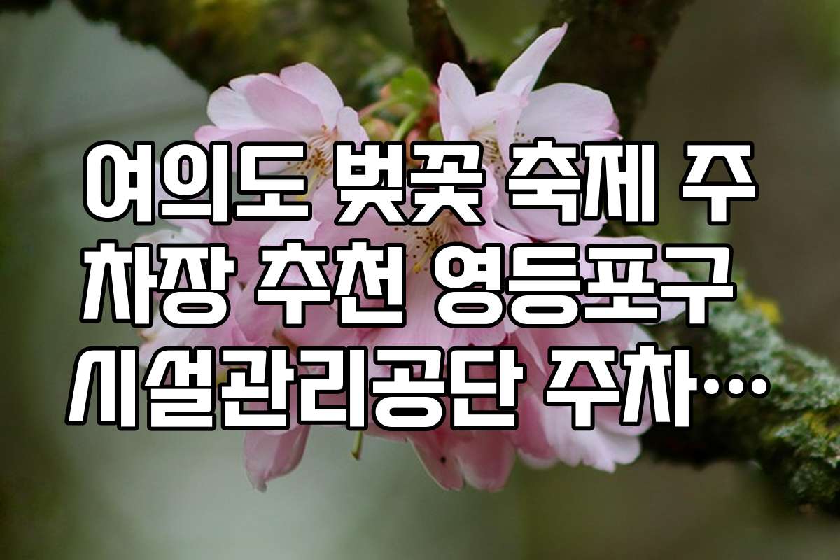 여의도 벚꽃 축제 주차장 추천 영등포구 시설관리공단 주차장 지도
