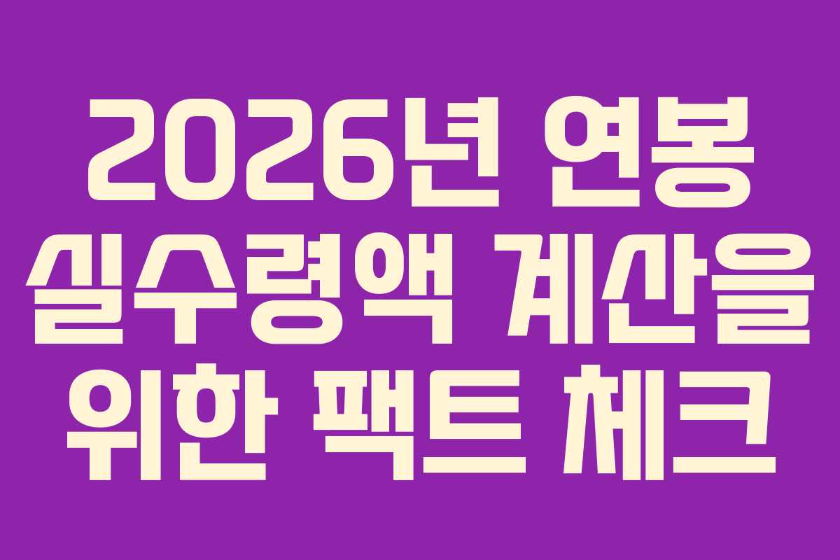 2026년 연봉 실수령액 계산을 위한 팩트 체크