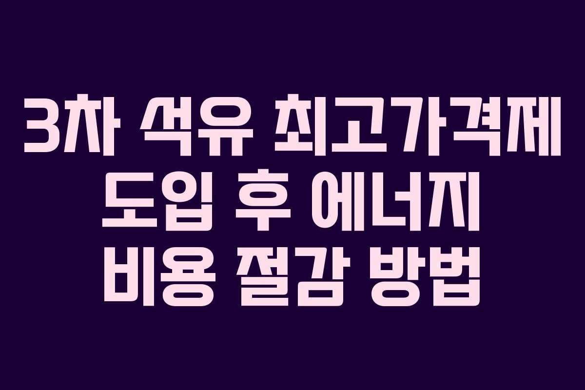 3차 석유 최고가격제 도입 후 에너지 비용 절감 방법