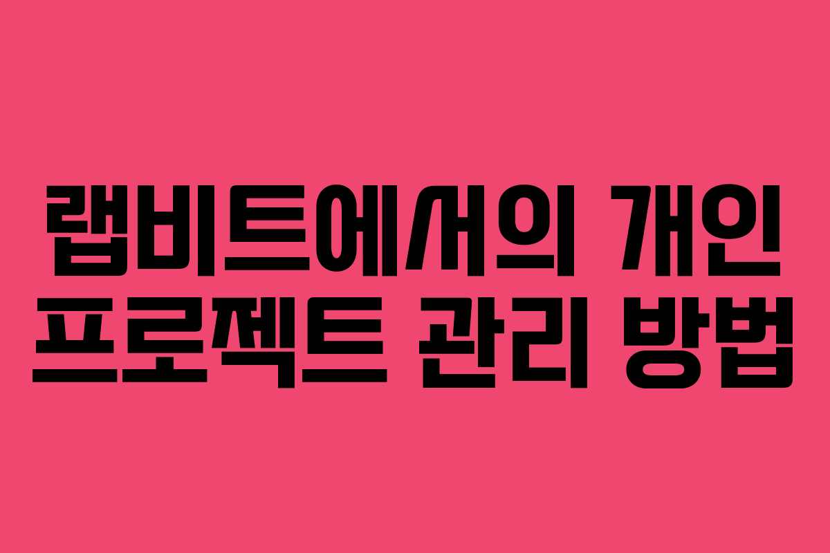 랩비트에서의 개인 프로젝트 관리 방법