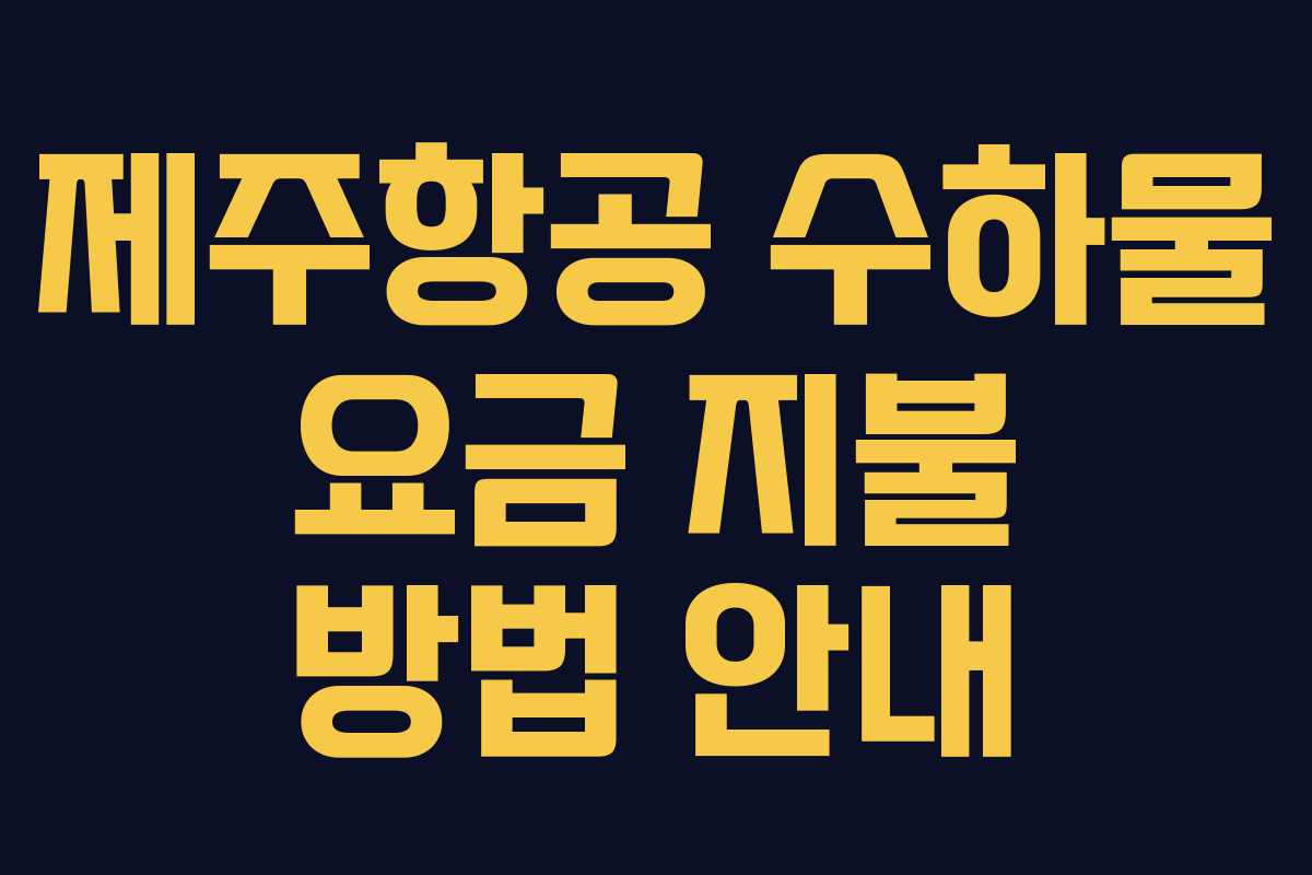제주항공 수하물 요금 지불 방법 안내