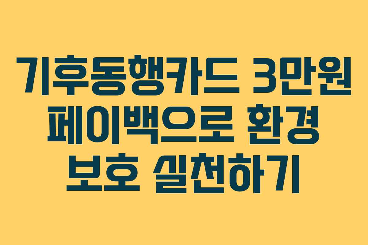 기후동행카드 3만원 페이백으로 환경 보호 실천하기